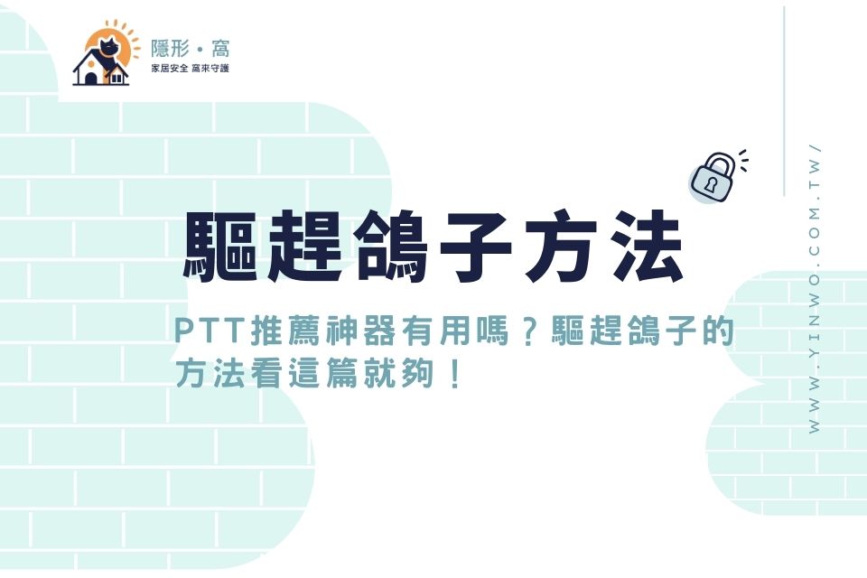 如何驅趕鴿子？趕鴿子PTT推薦神器有用嗎？驅趕鴿子的方法看這篇就夠！