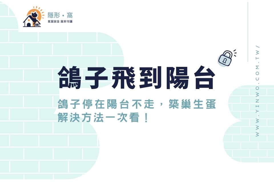 鴿子飛到陽台代表好運？鴿子停在陽台不走、築巢生蛋解決方法一次看！