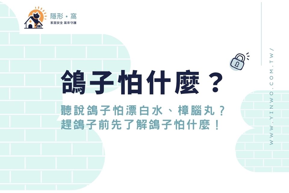 鴿子怕什麼？聽說鴿子怕漂白水、樟腦丸？趕鴿子前先了解鴿子怕什麼！