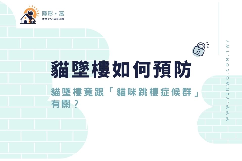 貓墜樓竟跟「貓咪跳樓症候群」有關？貓墜樓PTT問題蒐羅全解析！