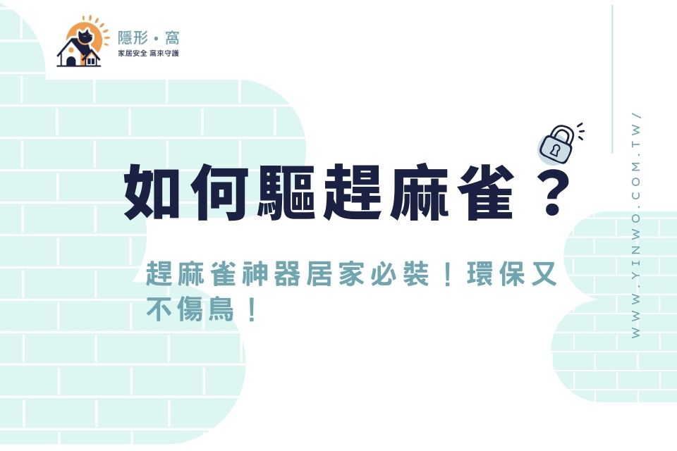 如何驅趕麻雀？趕麻雀神器居家必裝！環保又不傷鳥！