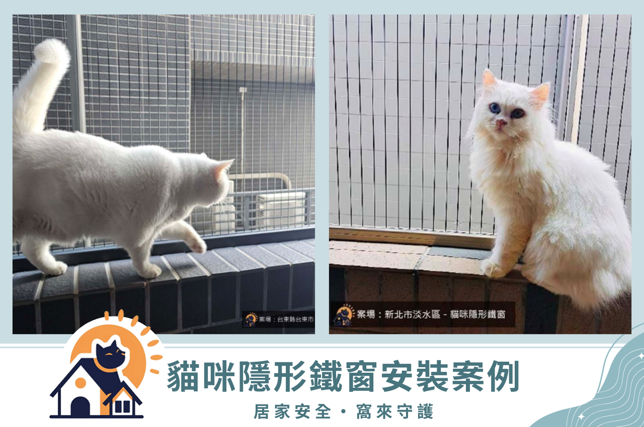 隱形鐵窗防貓網案例