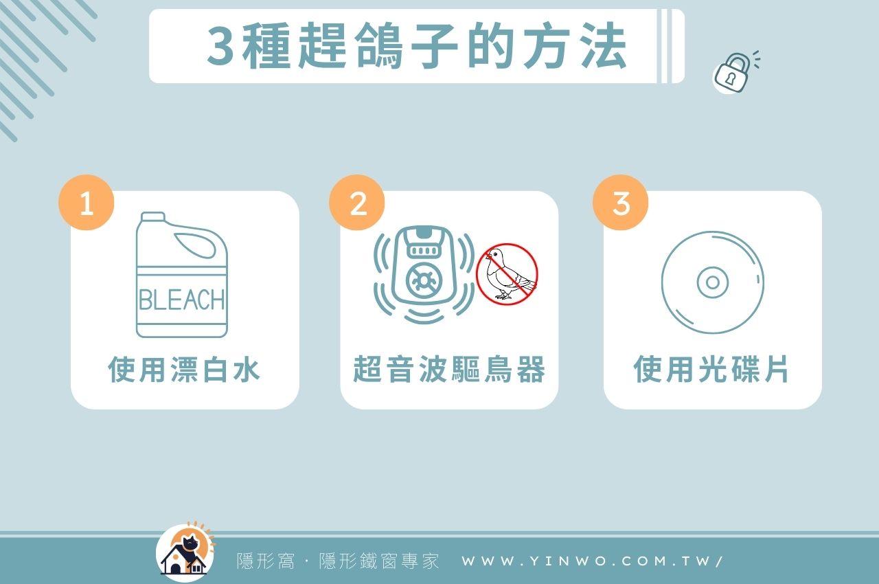 3種趕鴿子的實用方法