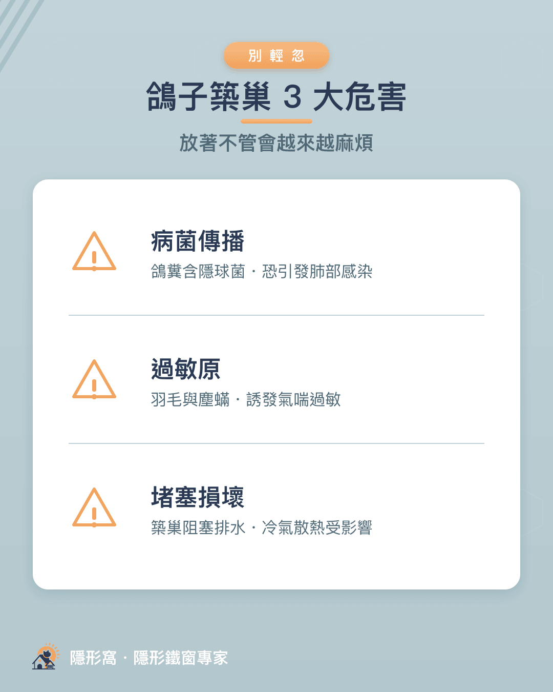 鴿子築巢3大危害：病菌傳播、過敏原、堵塞損壞